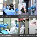 양지-19 이미지