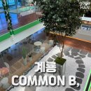 [계룡] COMMON B, 커먼비 | 초록빛 가득한 인테리어와 디저트가 있는 계룡 카페 솔직후기