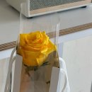 그루까까 반려동물 아카데미 | 하재목모하지7월초중정산