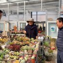 서원농장 이미지