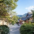 자연힐링센터 이미지