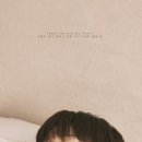 루피디자인