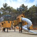 광주공원 어린이 놀이터 | 숲세권 놀이공원 /마륵근린공원 완공/ 2026년 맨발걷기 동호회 첫모임마륵근린공원맨발후기/2026.3.7