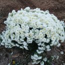 한길타조농장 이미지