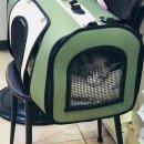 심재웅동물병원 이미지