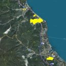 대구동_강릉 - 4459 | 대구동_강릉