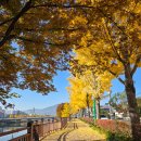 강변로길 이미지