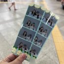 효진건재사 | 인지 워터파크인지 긴가민가한 카스쿨 페스티벌 후기(과천 서울랜드/하이라이트, 실리카겔, 바밍타이거)