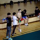 미르메라 이미지