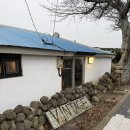 빈티지제주 | [제주/애월] 제주 빈티지샵 캡퍼룸 방문 후기