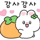 로하스데코 이미지