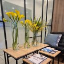 뮬피부과의원 | 연말 써마지+울쎄라 후기(부산, 내돈내산, feat.뮬피부과의원)