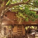 숲속작은민박 이미지