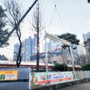 고잔초등학교 앞 이미지