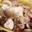 영주회식당 이미지