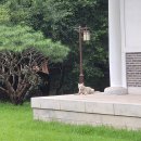새 친구 사겼당