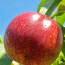 이음스토어숍 | 주말 합정역에서 만난 뜻밖의 '신선한 서프라이즈' 🍒 1차 팝업 생생 후기!