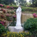 맑은하늘 이미지