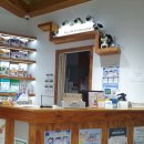 애니온동물병원 이미지