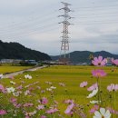 강동로3-12 이미지