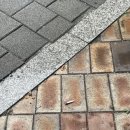 한교약국 | [2023.08.28-2023.09.03] 국시 100일 남은 사람☹️
