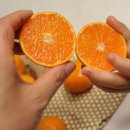 수현약품 이미지