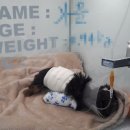 바른동물병원 이미지