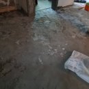 사임당로19길 19 이미지