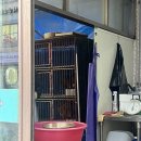 [순창 맛집/순창 카페] 강천사 단풍놀이, 순창 화양연화, 전국 5대 통닭 매일 통닭, 쯔양 삼합 실패후기