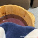 칙 플라잉 | 몰아쓰는 일상 업뎃 (일산 아쿠아플라넷, 플라잉 요가, 부산행, 일광 우리끼리 키즈카페, 아난티, 서핑...