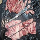 숲속 하얀 뜰 이미지