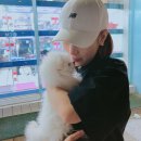 멍멍친구 애견샵 이미지