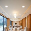 펫로스 케어 이미지