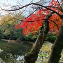 만한행정사 이미지