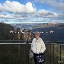 (주)위트메디컬투어 | 7박8일 호주 시드니 여행 경비 총정리 | 항공 숙소 식비 등