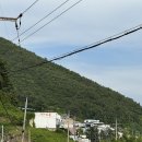 스테이다옴 이미지