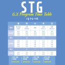 STG 이미지