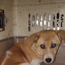 왕신1리 이미지