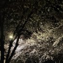 뭉무이맘마 이미지