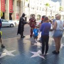 허리우드 이미지