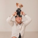 오엠스튜디오 이미지