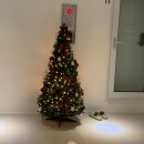 무모한초밥 하남풍산점 | 25년 11월 마감 (2)