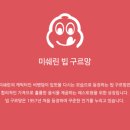 구르밍 이미지