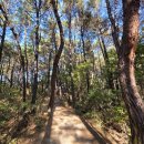 거두3리 이미지