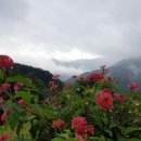 지리산꽃담 이미지