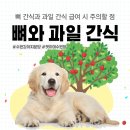 AMI PET 이미지