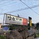 올퍼블릭 티스토리