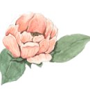 (주)호텔롯데 롯데시티호텔대전 이미지