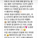 나의빛색