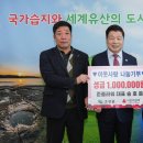 준플라워 이미지